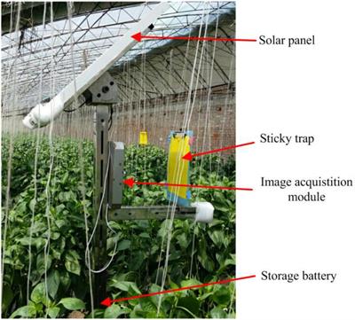 Detection of Small-Sized Insects in Sticky Trapping Images Using Spectral Residual Model and Machine Learning